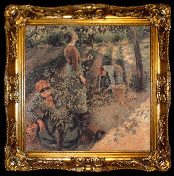 framed  Camille Pissarro The Apple Pickers, ta009-2